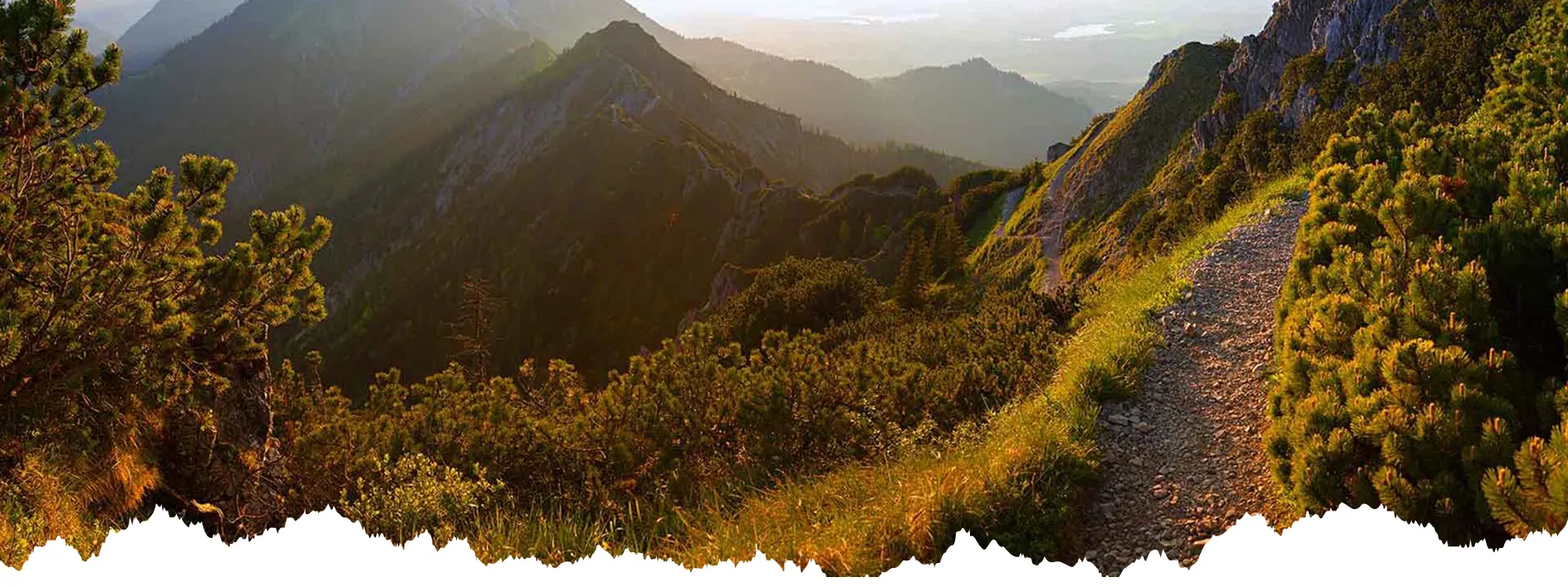 Dieses Bild zeigt einen Preis